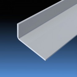 PE1163 Perfil AISI-304 "L" 20X10X1